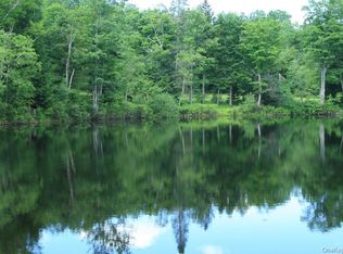 Pearl Lake Rd, Parksville, NY 12768