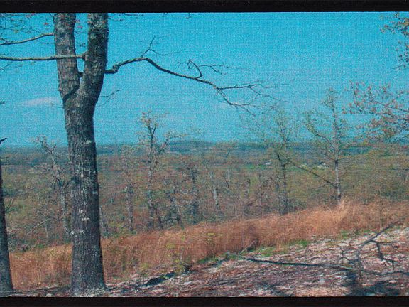 5th image of 20 Big Foot Ln