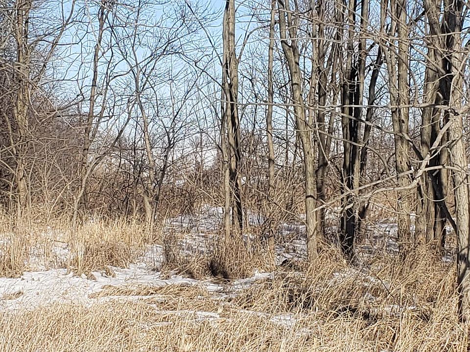 2nd image of Rockton Rd