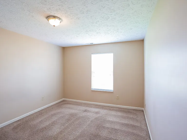 2962 Limber Pine Dr — Photo 12