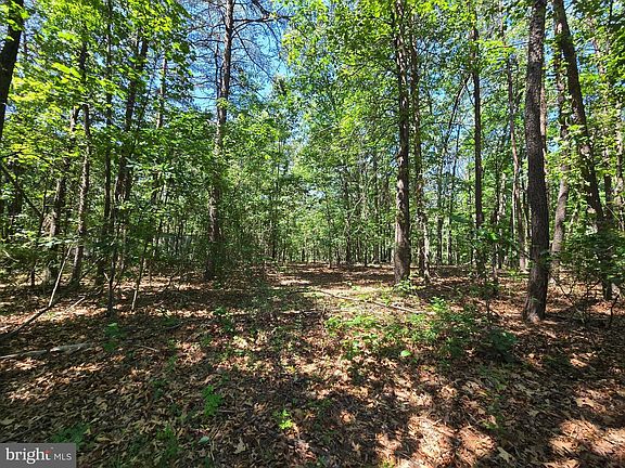 4th image of 186 Big Oak Dr