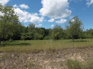 Brudy Rd, Indian River, MI 49749