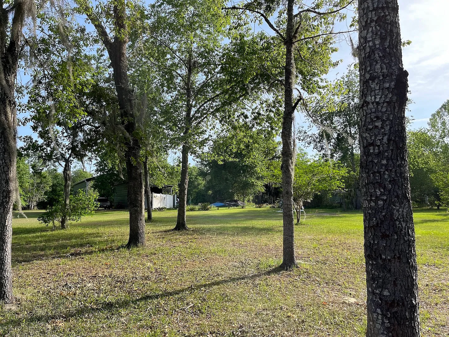 1 bed, $650 — Photo 3