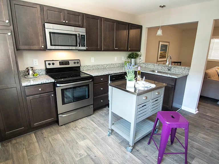 Newly Renovated Apartment at Forest Pointe in Durham, Nc