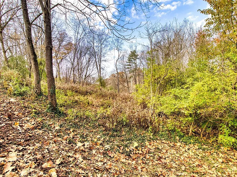7249 State Rd — Photo 34