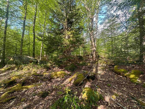 5th image of 4 Tuscan Ridge Rd