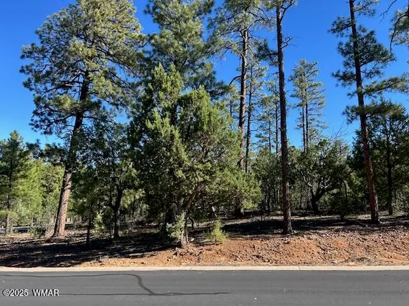 1901 S Little Creek Ct, Show Low, AZ 85901