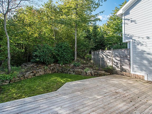 Backyard, view to forest