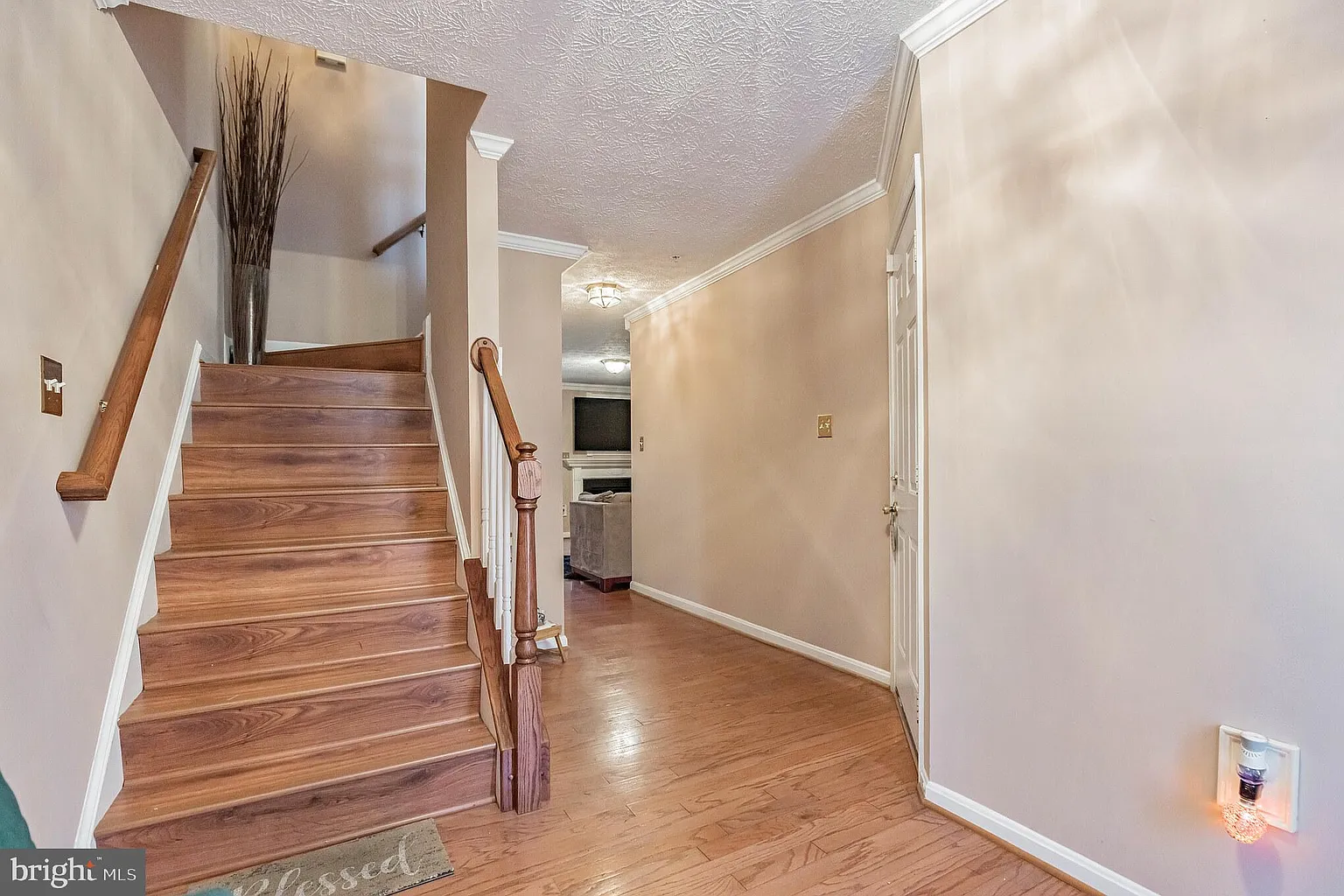8005 Bullfinch Pl photo 1