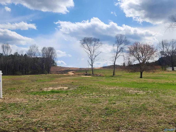 2172 Bexar Ave E, Hamilton, AL 35570