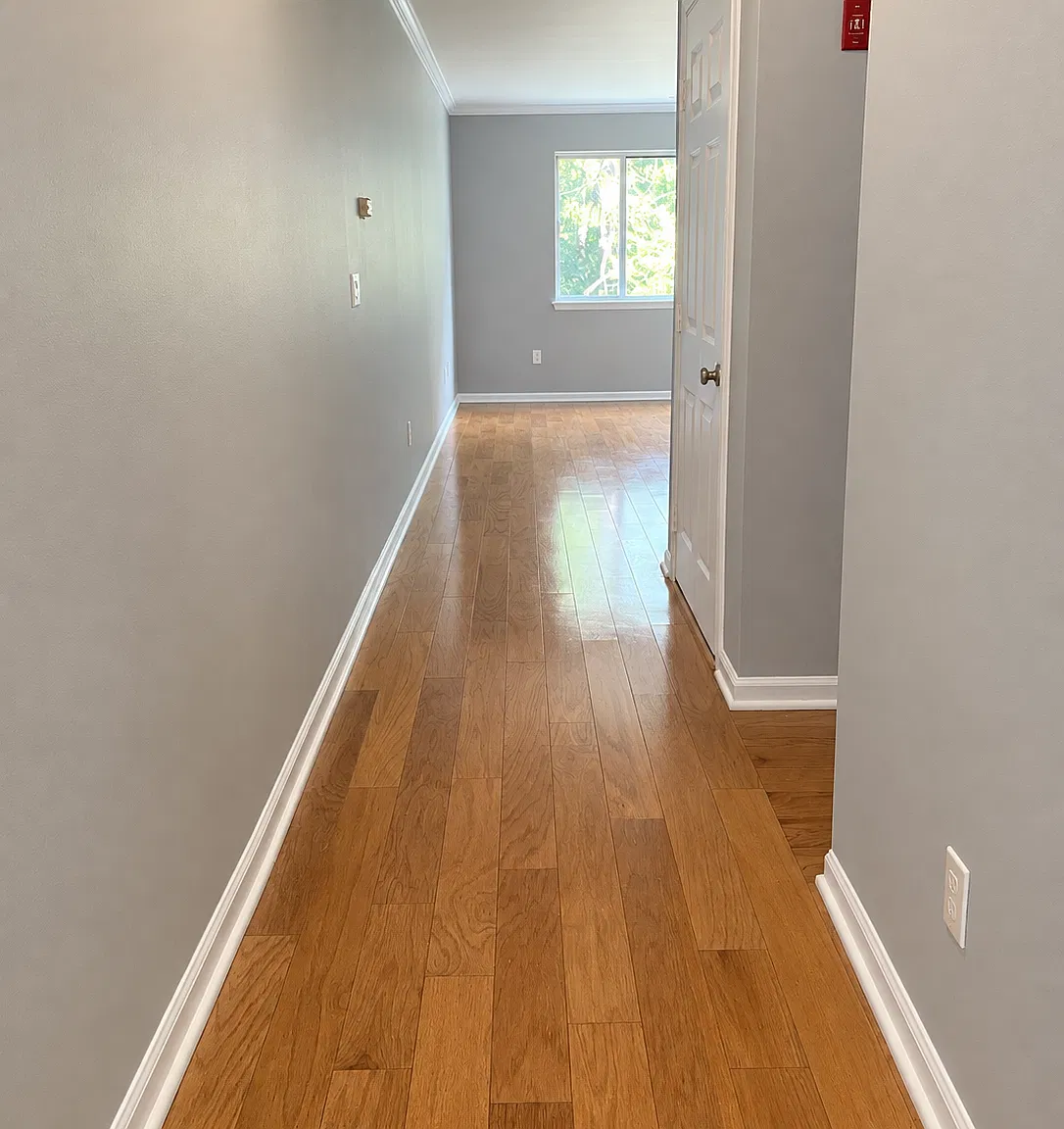 1 bed, 983 sqft, $2,500 — Photo 1