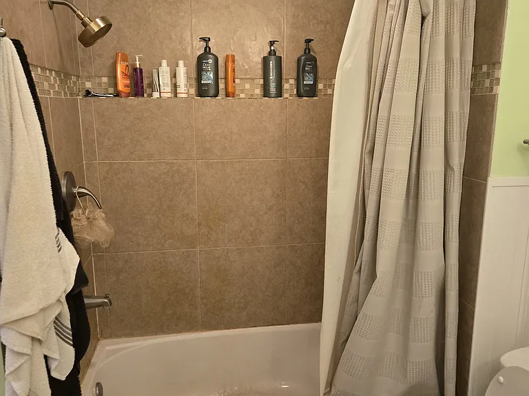 1703 W Olive St #19 — Photo 9
