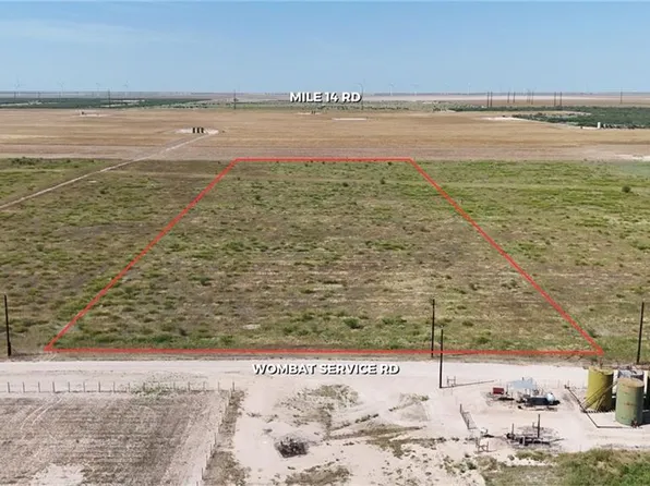 0 Wombat Service Rd, La Joya, TX 78560