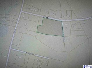 767/TRACT Highway 1124, Conway, SC 29526