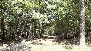 2nd image of Roslin Ln