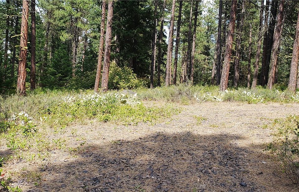 could have circular drive way. This is part of the clearing that has been done.