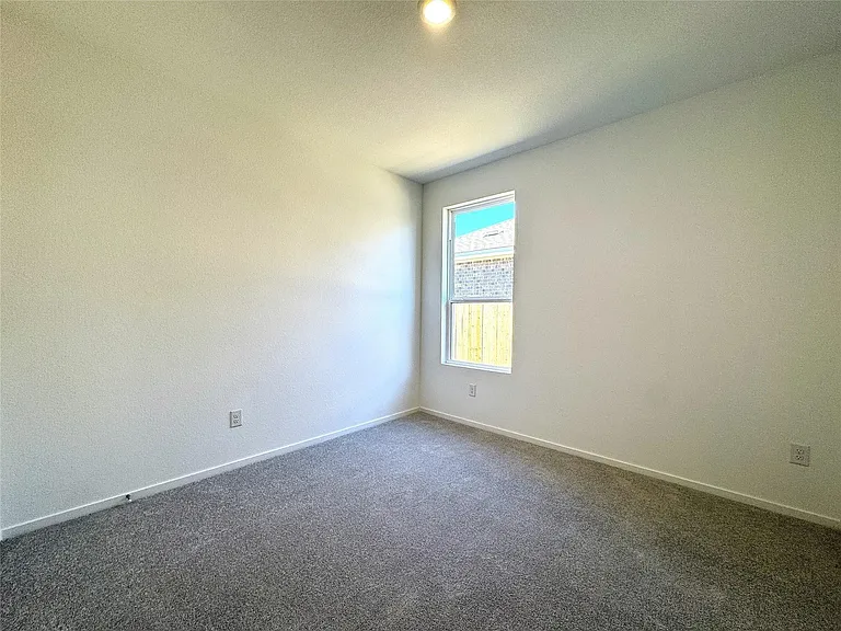 26606 Foxtail Fern Dr — Photo 11