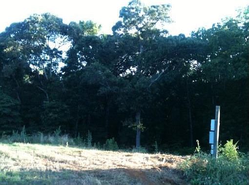 2nd image of 104 Reagan Ct