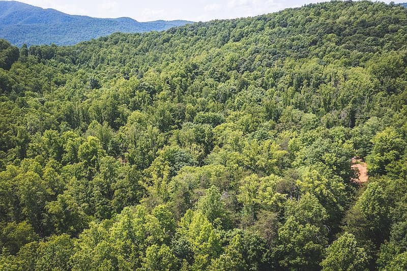 1st image of 6 Dogwood Mountain Ln