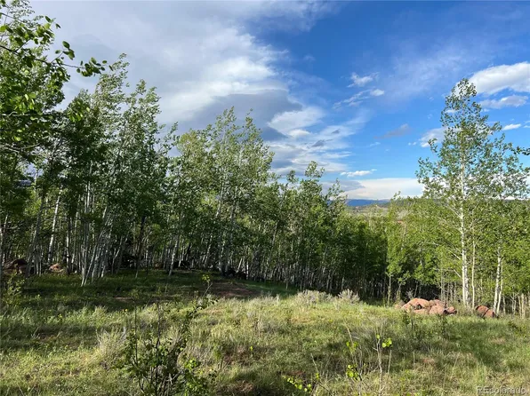 39 Lumber Jack Road, Fairplay, CO 80440