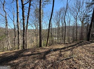 1035 Sky Hawk Mountain Rd, Hiawassee, GA 30546