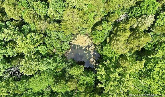 4th image of  E Turkey Fork Road