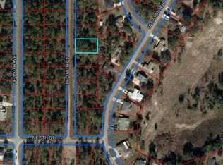 19 NE 150th Ave, Williston, FL 32696