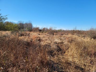 185 Sallibar Cv, Searcy, AR, 72143