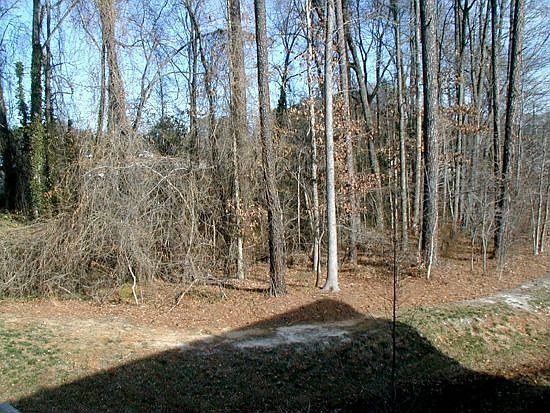 View of private back yard from deck