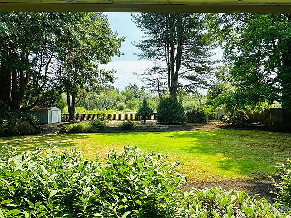 Backyard overlooking the pond