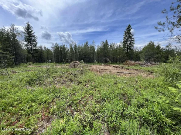 102 Virgil Ln, Spirit Lake, ID 83869