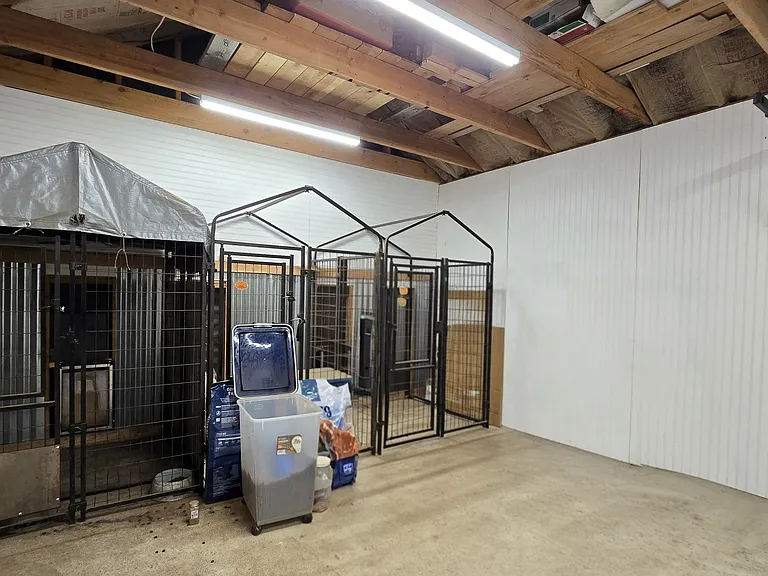 Backyard shed with electricity, kennels, attached exterior dog run