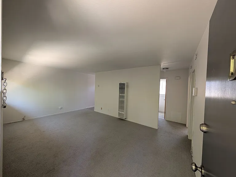 1735 Carleton St #D — Photo 6