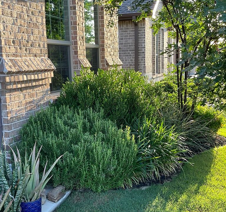 Front Garden Bed