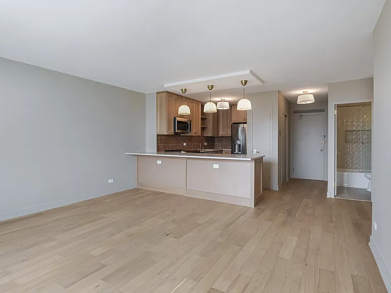 1550 N Lake Shore Dr #29D — Photo 3
