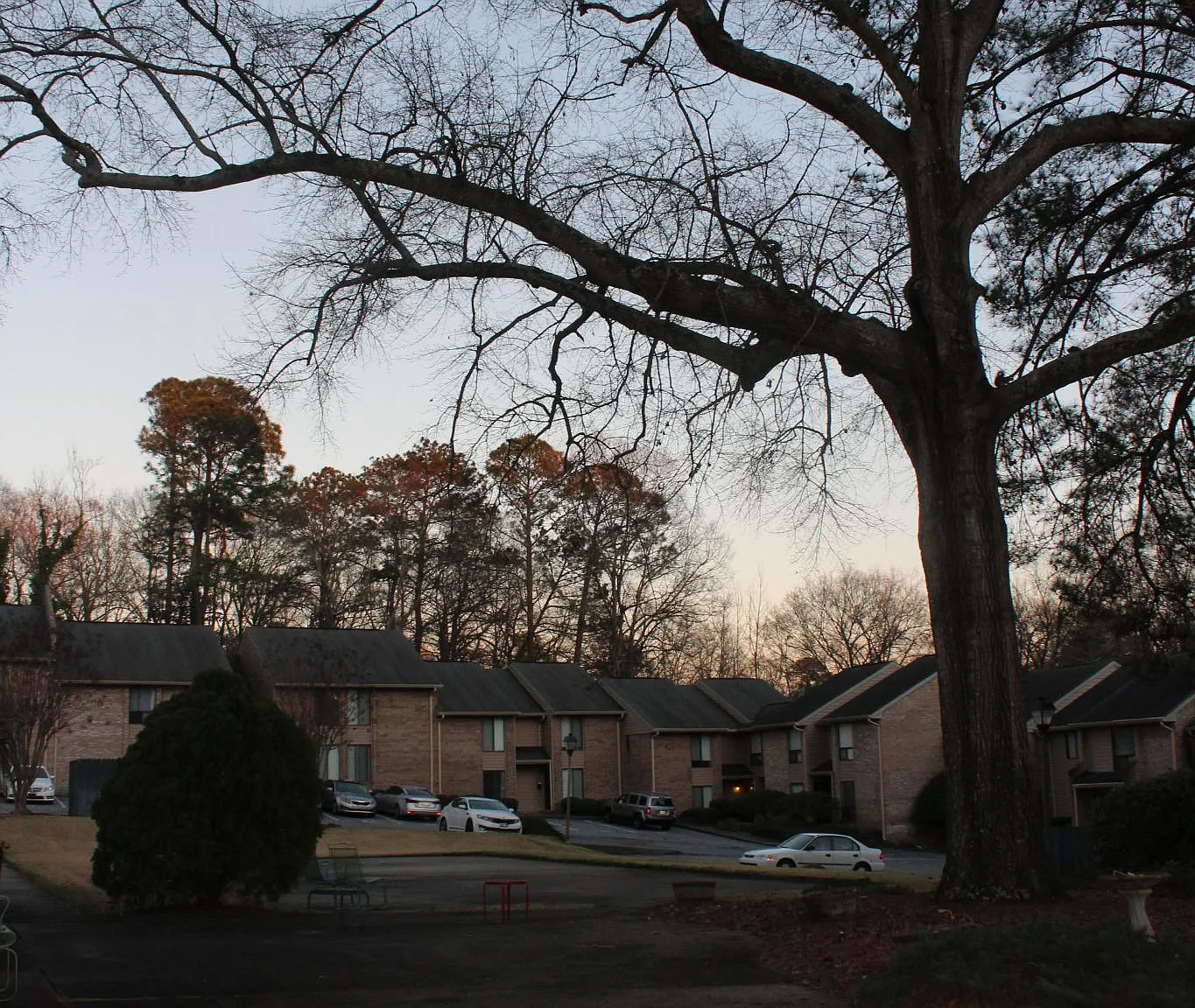 2 bed, 1004 sqft, $1,250 — Photo 2