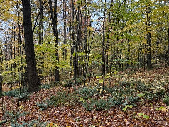 3rd image of 309 E Slope Rd