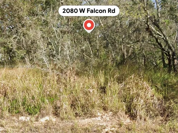 2080 W Falcon Rd, Avon Park, FL 33825