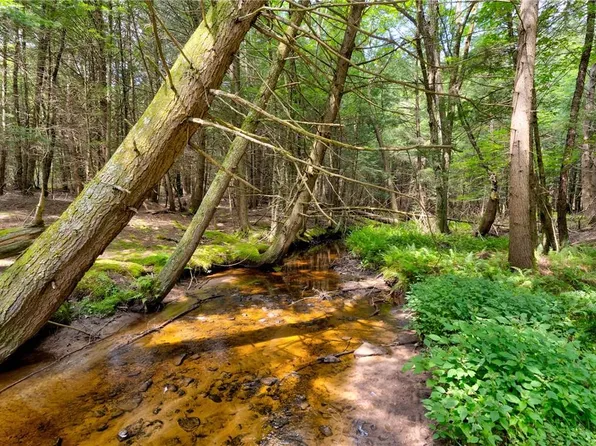 Laird Road, Bethel, NY 12720