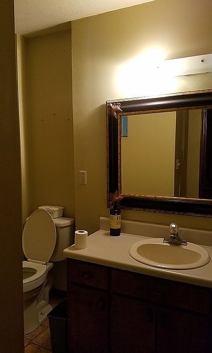 Master bathroom toilot and sink