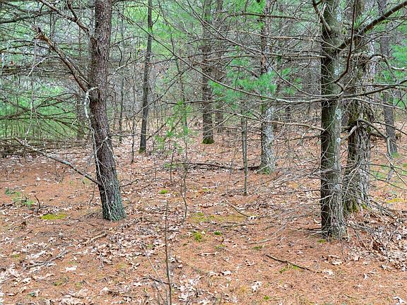 4th image of Lot 3 +/- 87 Ac Dover Drive