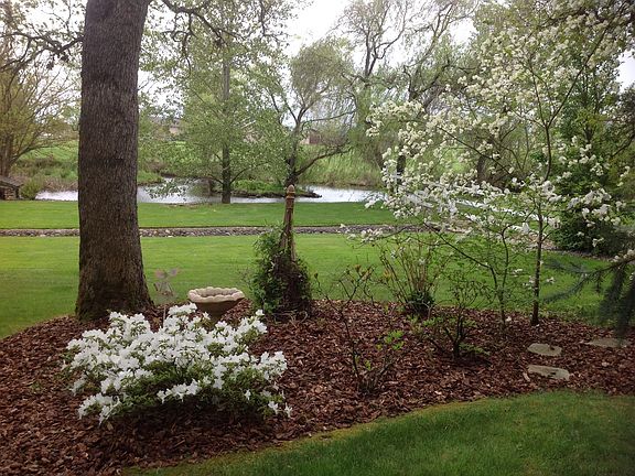 South view from Sunroom