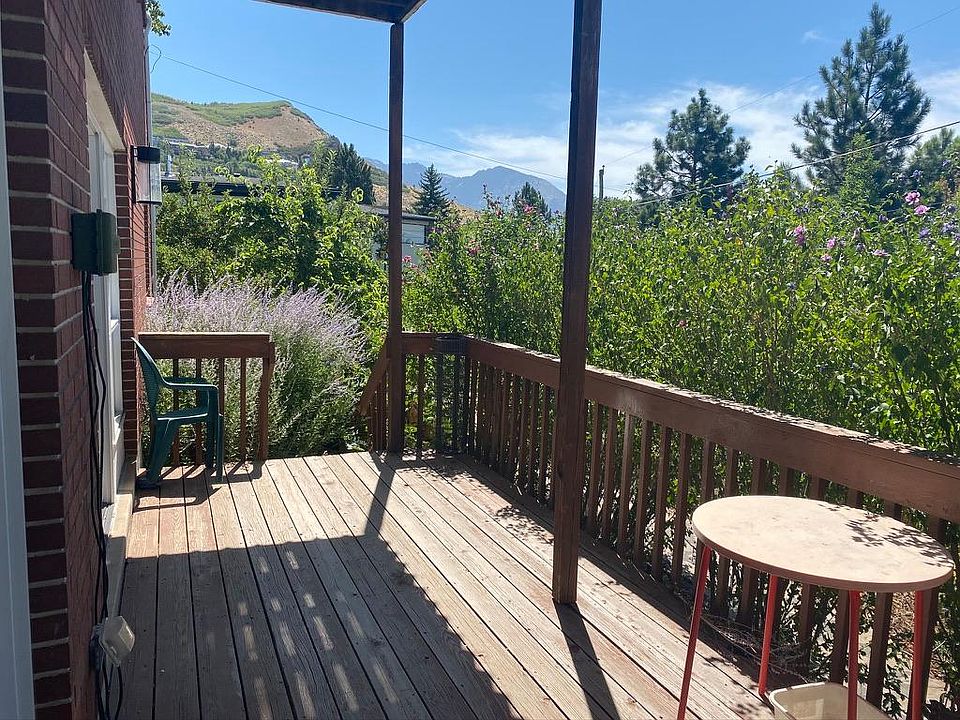 Backyard deck