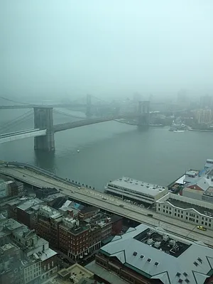 Rented by Nest Seekers International | media 1