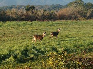 7 Azalea Ln, San Carlos, CA 94070