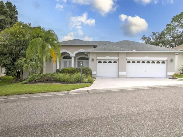 7387 Blue Skies Dr, Spring Hill, FL 34606