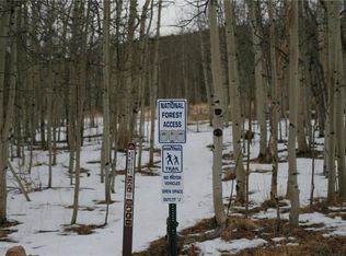 2772 High Creek Rd, Fairplay, CO 80440