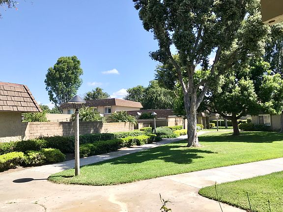 View from Living Room