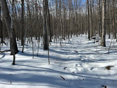 0 Callie Mines Rd #7, Clifton Forge, VA, 24422