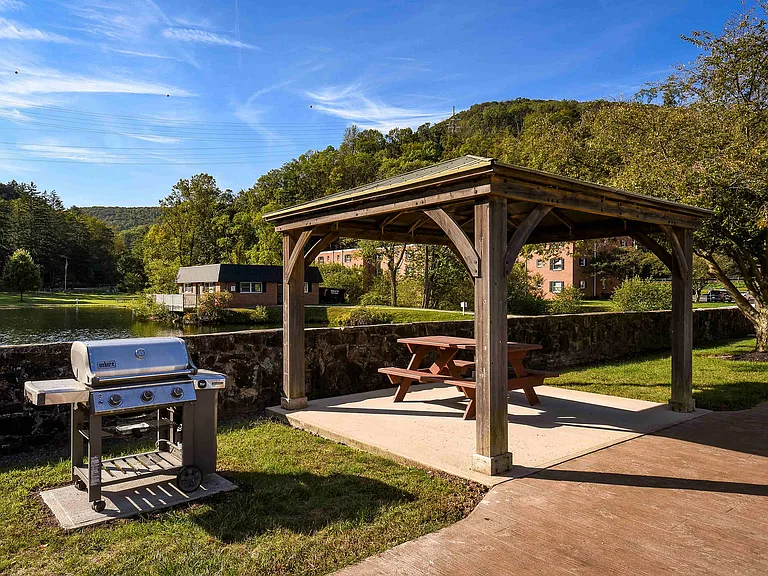 Grilling and Dining Patio